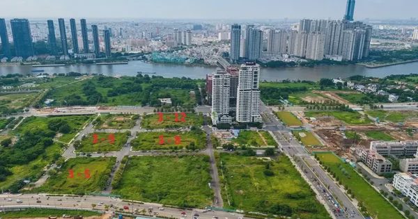 TP.HCM chấn chỉnh công tác đấu giá quyền sử dụng đất