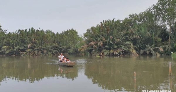 TP.HCM chi hơn 9.200 tỉ đồng cải tạo rạch Bà Lớn