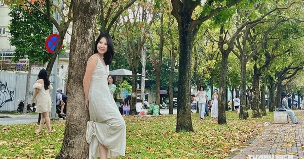 TP.HCM có một ‘con đường mùa thu’ đẹp như phim Hàn, giới trẻ mê mẩn