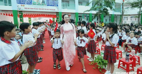 TP.HCM công bố các khoản thu dịch vụ của trường mầm non, tiểu học, THCS, THPT