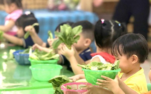 TP.HCM công bố danh sách cơ sở mầm non quá tải và bị giải thể