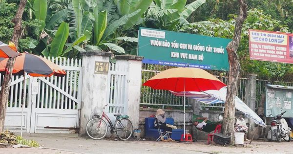 TP.HCM đề xuất quy trình 40 ngày thu hồi nhà, đất của cơ quan Trung ương