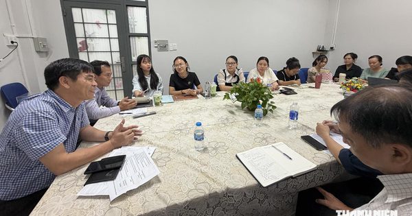 TP.HCM giảm 2.745 vị trí quản lý trường học, bố trí nhân sự dôi dư ra sao?