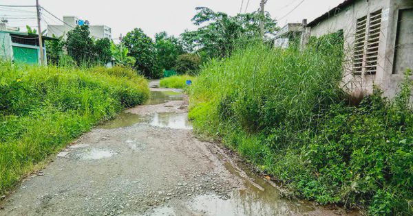 TP.HCM: Kiến nghị xử lý nhiều dự án bất động sản vướng mắc kéo dài ở phường Bình Hoà