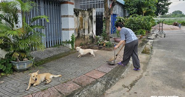 TP.HCM phát hiện 4 ổ dịch dại trên động vật