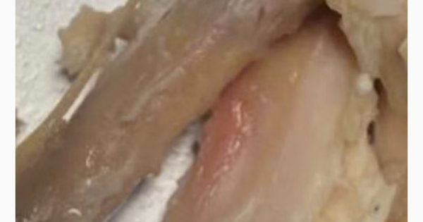 TP.HCM: Phụ huynh phát hiện suất ăn bán trú thịt gà 'còn đỏ', UBND phường nói gì?