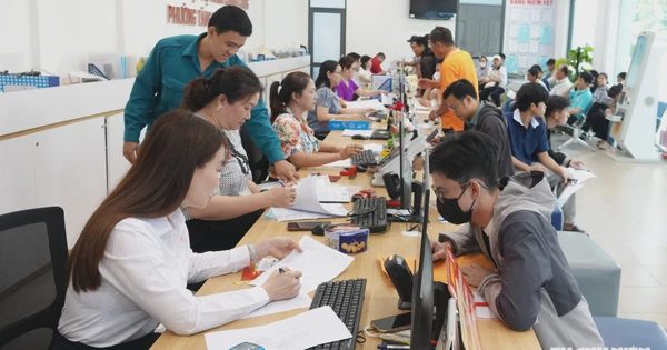 TP.HCM rà soát toàn diện việc chi hỗ trợ sai Nghị định 178