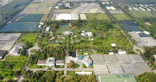 TP.HCM thu hút 10 chuyên gia nông nghiệp công nghệ cao, thu nhập đến 100 triệu đồng/tháng
