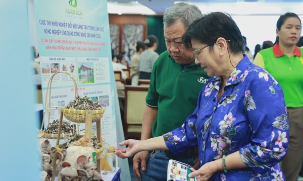 TP HCM trả lương đến 100 triệu đồng cho chuyên gia nông nghiệp công nghệ cao