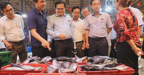 TP.HCM yêu cầu không để phụ huynh tự xoay xở khi xảy ra ngộ độc thực phẩm