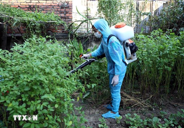 TP Hồ Chí Minh mở chiến dịch cao điểm phòng, chống bệnh sốt xuất huyết và tay chân miệng
