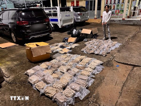 TP Hồ Chí Minh triệt phá đường dây ma túy liên tỉnh, thu giữ hơn 176 kg cần sa