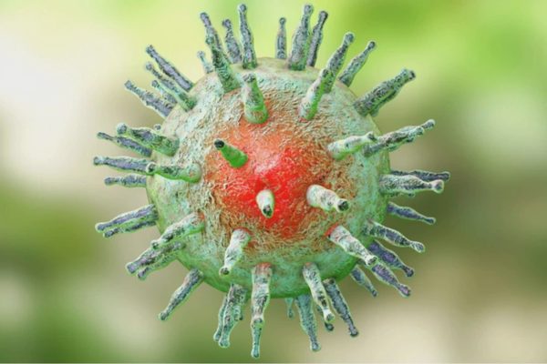 TPHCM: Bé trai 7 tuổi co giật toàn thân vì viêm não do virus EBV