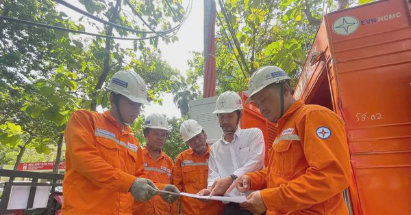 TPHCM: Cắt điện, nước cac công trình, cơ sở không chấp hành yêu cầu dừng vi phạm