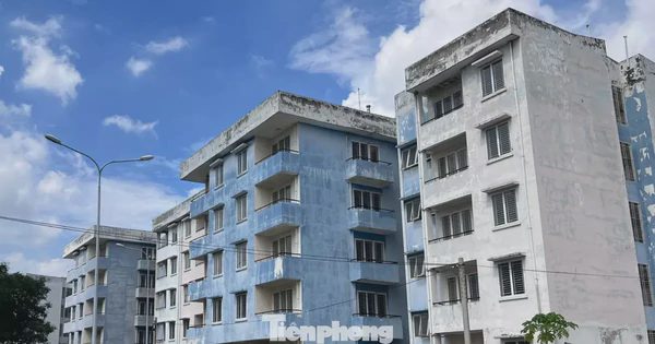 TPHCM: Gần 1.000 căn hộ tái định cư được đề xuất làm nhà ở công nhân
