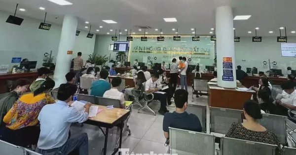 TPHCM làm rõ trách nhiệm xử lý hồ sơ đất đai quá hạn cho dân