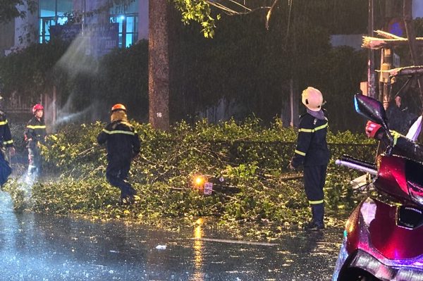 TPHCM: Nhánh cây lớn rơi trúng xe máy, hai vợ chồng thương vong