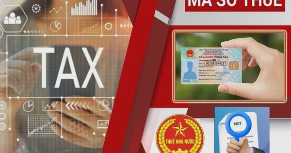 Tra cứu nhanh, biết ngay mã số thuế có thuộc trạng thái 03, 05, 06