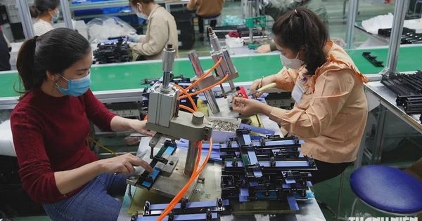Trả lương trễ, doanh nghiệp có thể bị phạt đến 100 triệu đồng