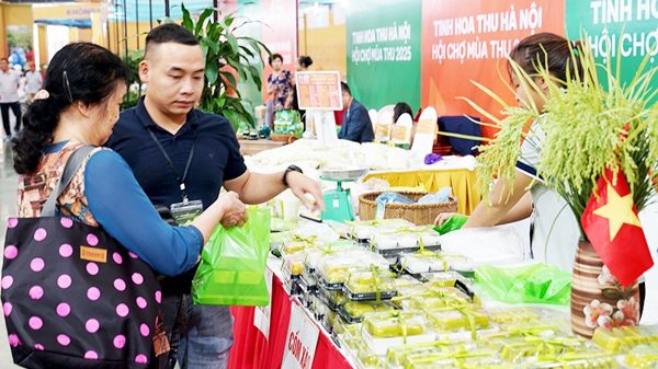 Trà sữa cốm non