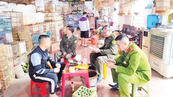 Trách nhiệm bảo vệ động vật hoang dã