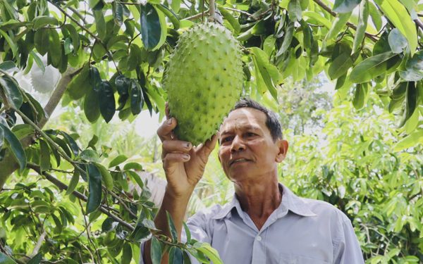 Tránh đưa thông tin hoang mang về tình hình hạn, mặn trong mùa khô 2026-2027