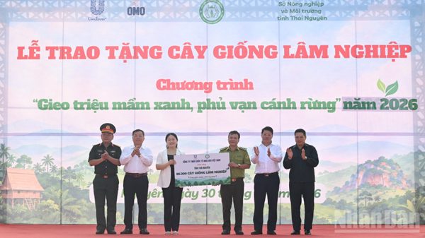 Trao tặng 86.300 cây giống lâm nghiệp cho tỉnh Thái Nguyên