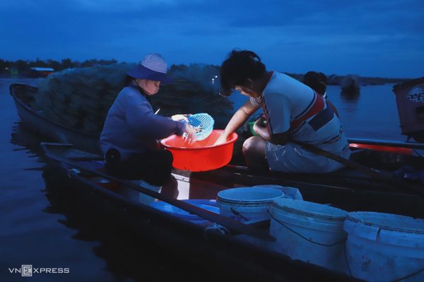 Treo đèn mua bán hải sản trên chợ nổi phá Tam Giang