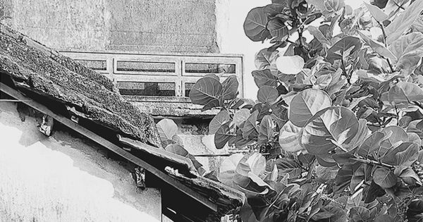 Triển lãm 'Thiên di': Những khoảnh khắc hữu hạn qua ảnh đen trắng