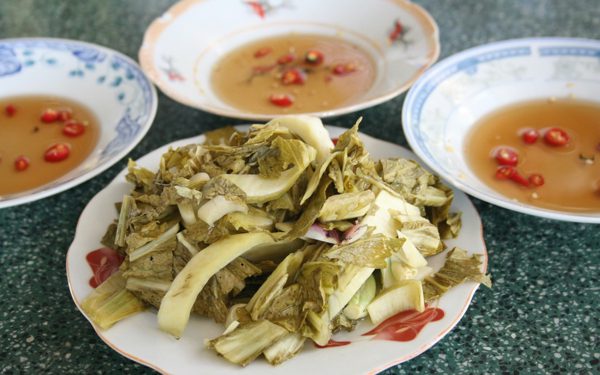 Triển vọng tạo dầu ăn từ nấm men tí hon