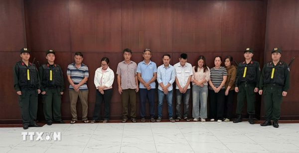 Triệt phá đường dây đưa hơn 10.000 tấn heo dùng chất tạo nạc ra thị trường