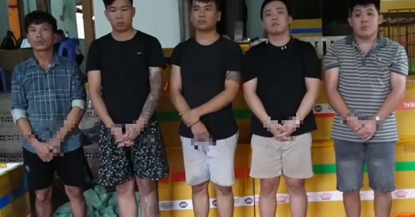 Triệt phá đường dây trộm chó liên tỉnh, thu giữ hơn 10 tấn thịt