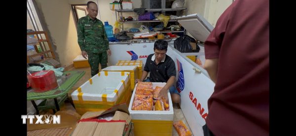 Triệt phá thành công đường dây tuồn hàng tấn thực phẩm bẩn mỗi ngày qua cửa khẩu