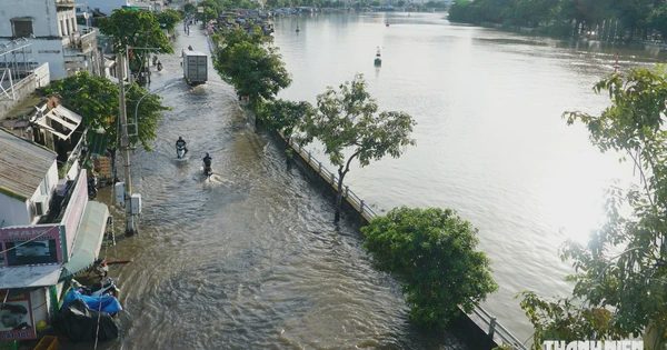 Triều cường đạt đỉnh chiều 10.10: Đường khu nam TP.HCM ngập sâu, người dân chật vật