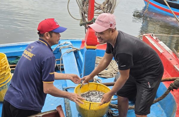 Trúng đậm cá cơm trái vụ, ngư dân Quảng Ngãi 'bỏ túi' bạc triệu mỗi ngày