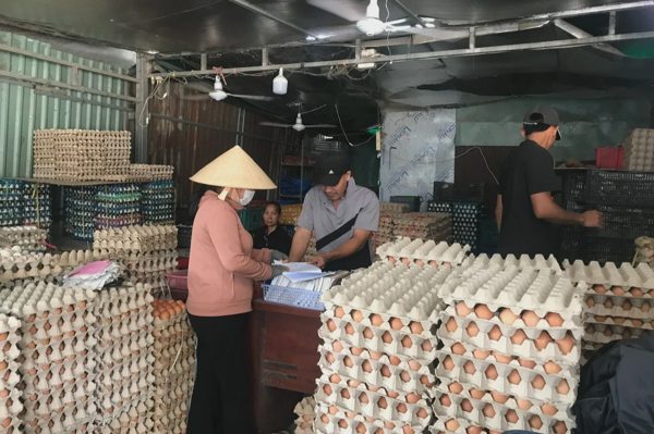 Trứng gà bán ở trại chỉ 1.200 đồng/quả, vào siêu thị tăng giá gấp ba