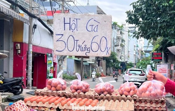 Trứng gà giá rẻ len lỏi đến tận nhà