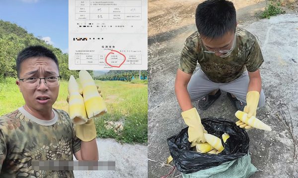 Trung Quốc phát hiện măng tươi ngậm hóa chất gấp 100 lần ngưỡng cho phép