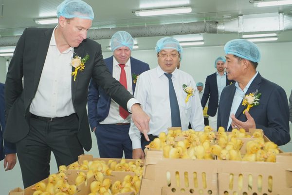 Trứng vịt muối đi Mỹ, ngành chăn nuôi đón dòng vốn đầu tư mới