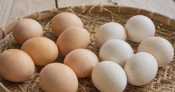 Trứng vỏ nâu có thực sự bổ hơn trứng vỏ trắng? Bác sĩ giải đáp