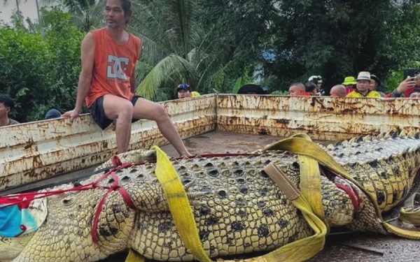 Trường hợp di tản vì lũ khó nhằn nhất ở Thái Lan