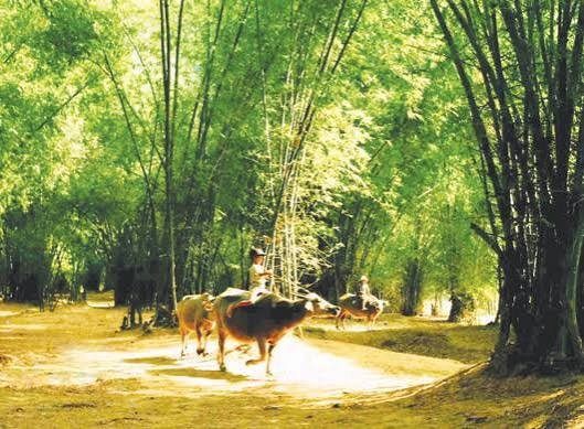 Trường hợp “thất sủng” ở một vùng quê
