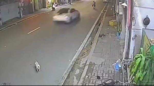Truy tìm ô tô húc văng hai người đi xe máy ở TP.HCM