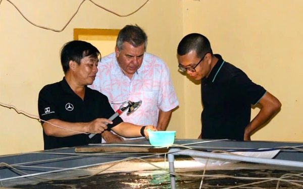 Tự chủ nguồn giống vẫn là bài toán lớn của ngành tôm Việt Nam
