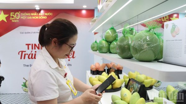 Từ đáp ứng tiêu chuẩn đến tham gia sâu vào chuỗi giá trị châu Âu