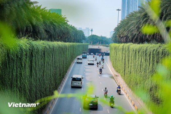 Từ “đối phó” sang “quản trị”: Bước chuyển căn bản tư duy bảo vệ môi trường
