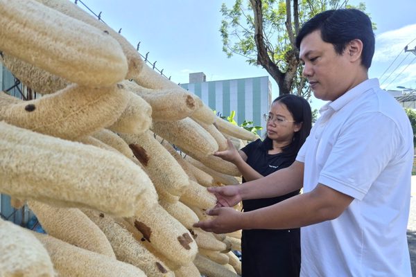 Từ đơn hàng 30 USD, vợ chồng Việt biến xơ mướp già thành hàng xuất khẩu
