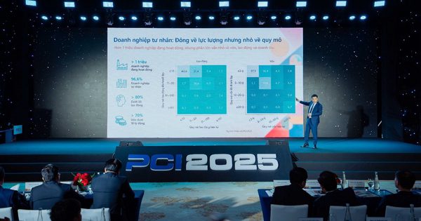 Từ dữ liệu PCI 2.0 nhìn vào nội lực của doanh nghiệp Việt