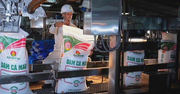 Từ ‘Hạt Ngọc Mùa Vàng’ đến khát vọng vươn tầm thế giới