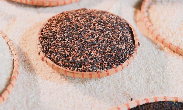 Từ làm thuê đến cơ nghiệp gạo Séng Cù
